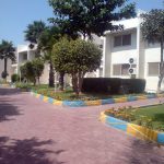 didar-0001
