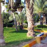 didar-02