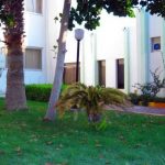 didar-03