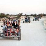 buggy-parssafari-1