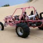 buggy-parssafari-2