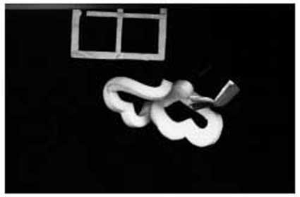 اجرای نمایش موزیکال تخته سیاه در کیش