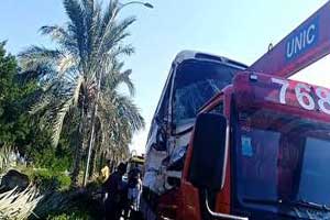 برخورد مینی بوس با نخل در کیش