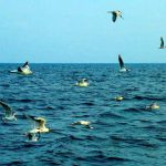 marina-fishing-club-3