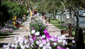 هوای بهاری در زمستان جزیره زیبای کیش