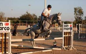 برگزاری مسابقات پرش با اسب در کیش