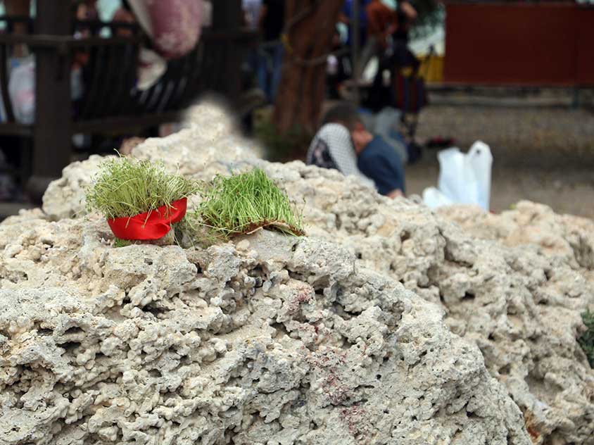 روز طبیعت در جزیره کیش