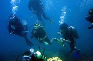 افتتاح اولین پایگاه تخصصی غواصی در کیش