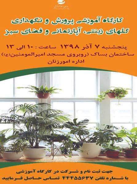 کارگاه آموزشی پرورش گلهای زینتی در کیش