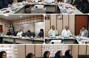 تشکیل کمیته پیشگیری از شیوع آنفولانزا در کیش