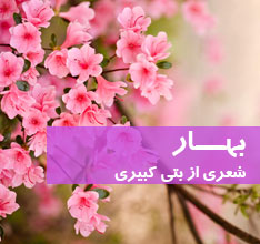 بتی کبیری - بهار