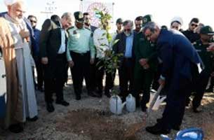 کاشت ۱۵۰۰ نهال نارنج در کیش