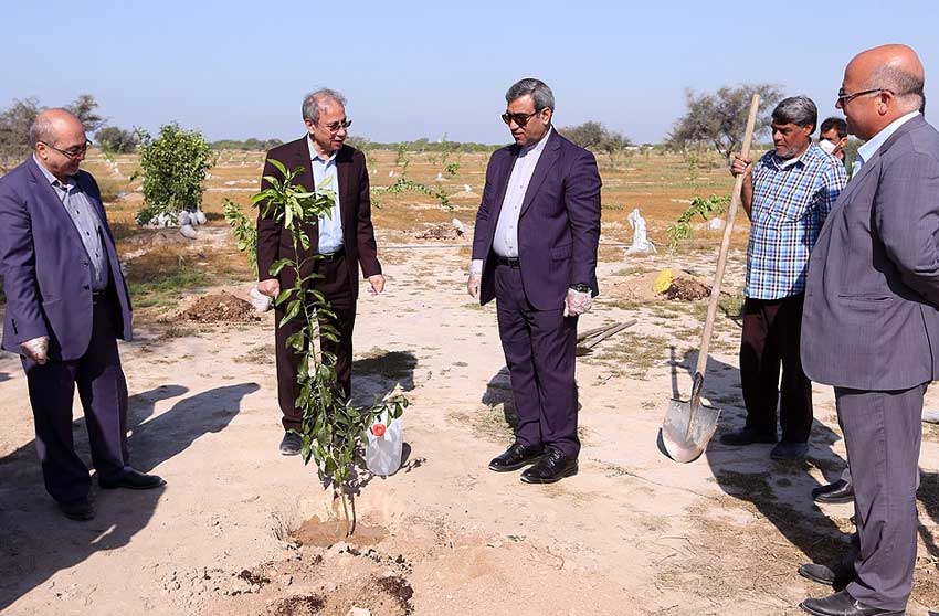 احداث پارک جدید با 20 هکتار زمین در کیش