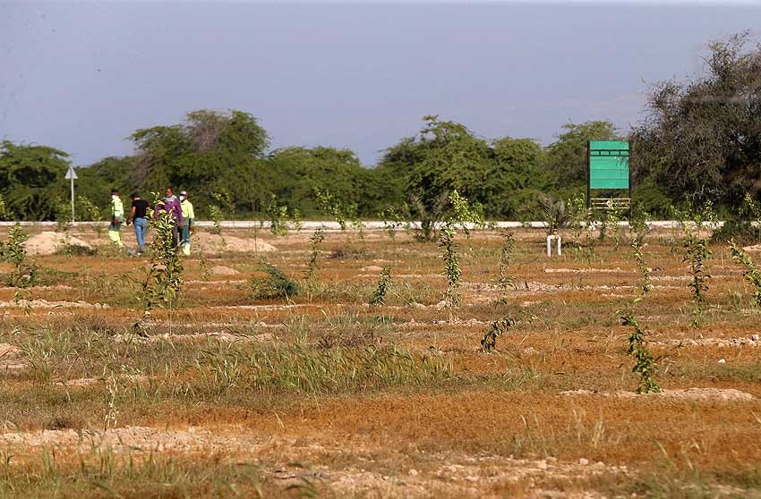 احداث پارک جدید با 20 هکتار زمین در کیش