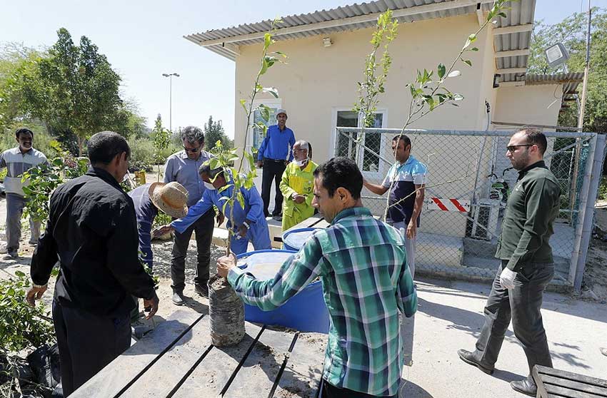 احداث پارک جدید با 20 هکتار زمین در کیش