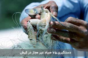 دستگیری ۷۵ صیاد غیر مجاز در کیش