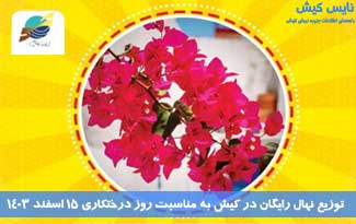 توزیع نهال رایگان در کیش به مناسبت روز درختکاری